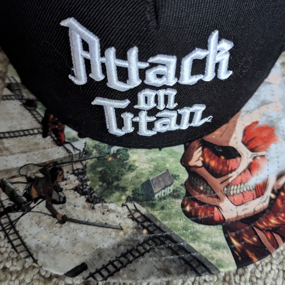 Attack On Titan Cap - image 2